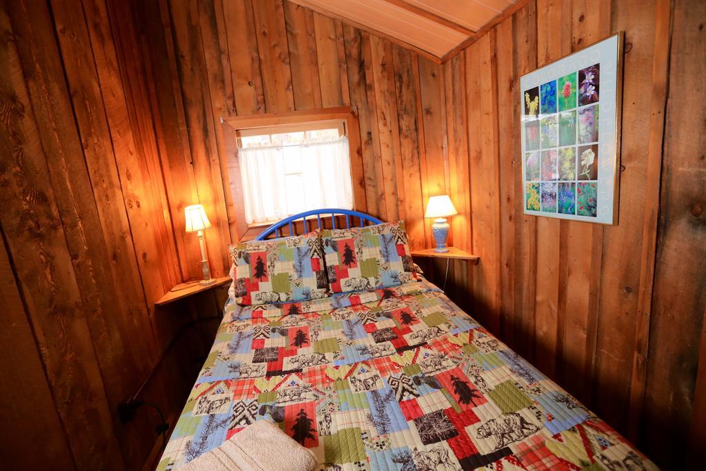 The Cabins At Historic Columbine Clark Екстер'єр фото